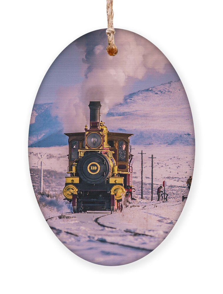 119 Ornament featuring the photograph 119 by Bryan Carter