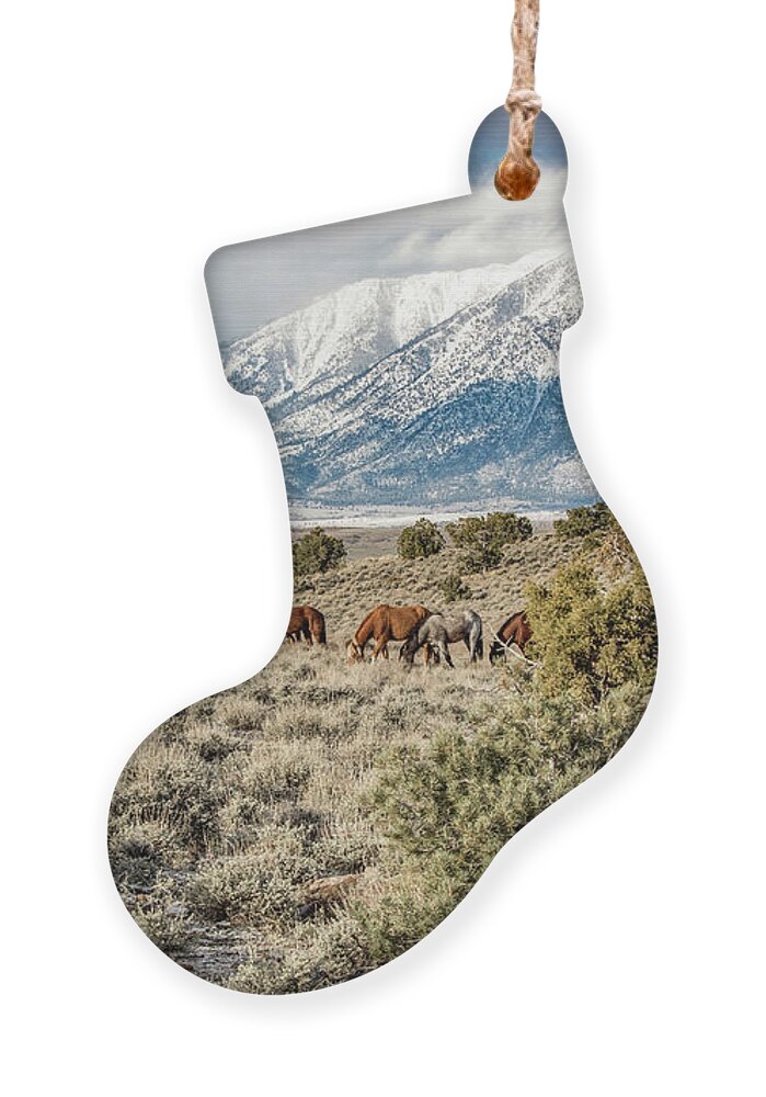 Mountains Ornament featuring the photograph 1dx25710 by John T Humphrey