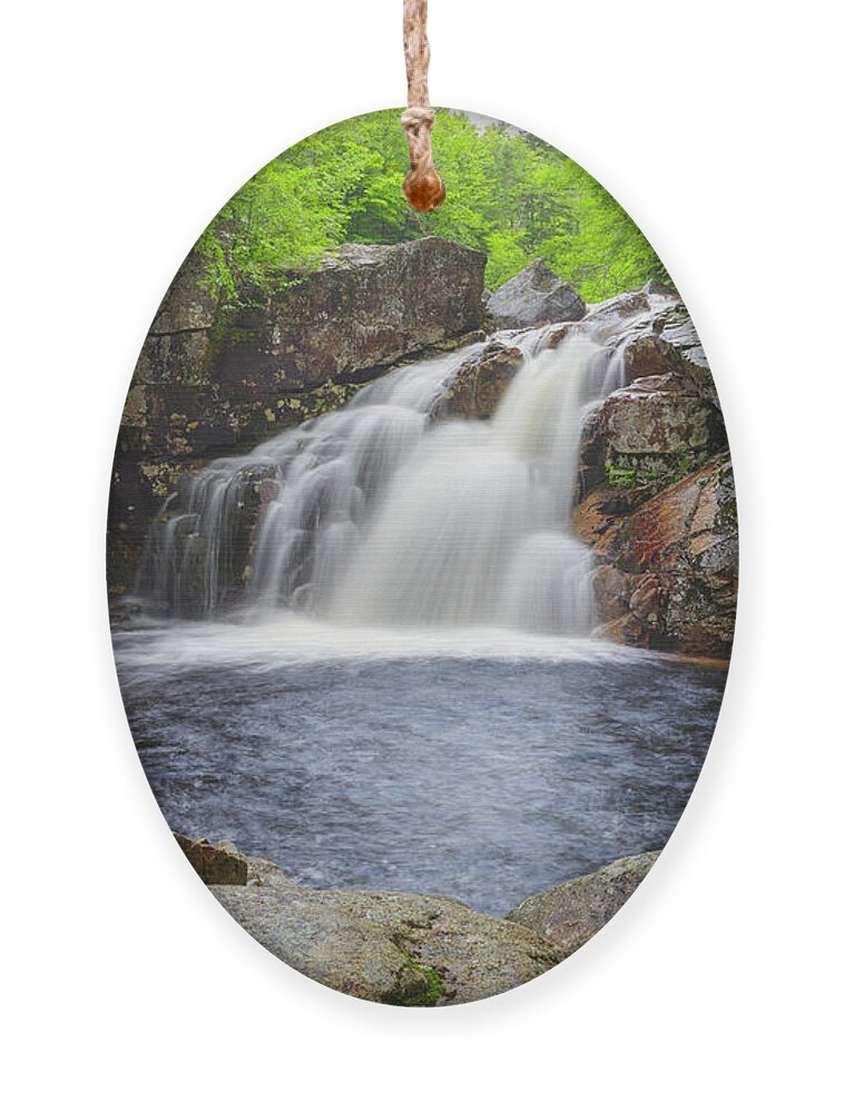 America Ornament featuring the photograph Cascade Brook - Lincoln, New Hampshire by Erin Paul Donovan