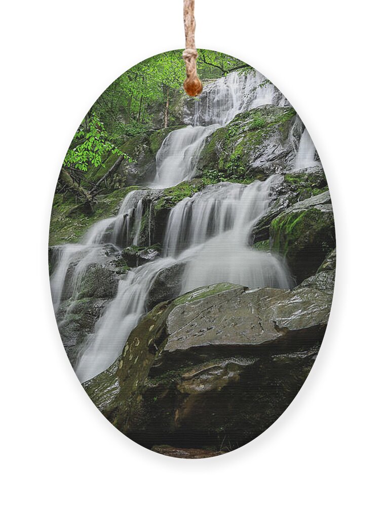 Dark Hollow Falls Ornament featuring the photograph Dark Hollow Falls by Chris Berrier