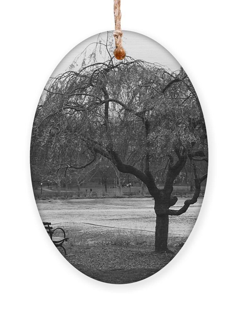 Inwood Ornament featuring the photograph Inwood Hill Park by Cole Thompson
