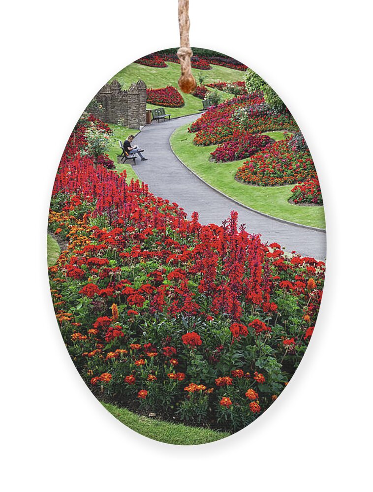 Plant Ornament featuring the photograph Red Hot Summer by Shirley Mitchell