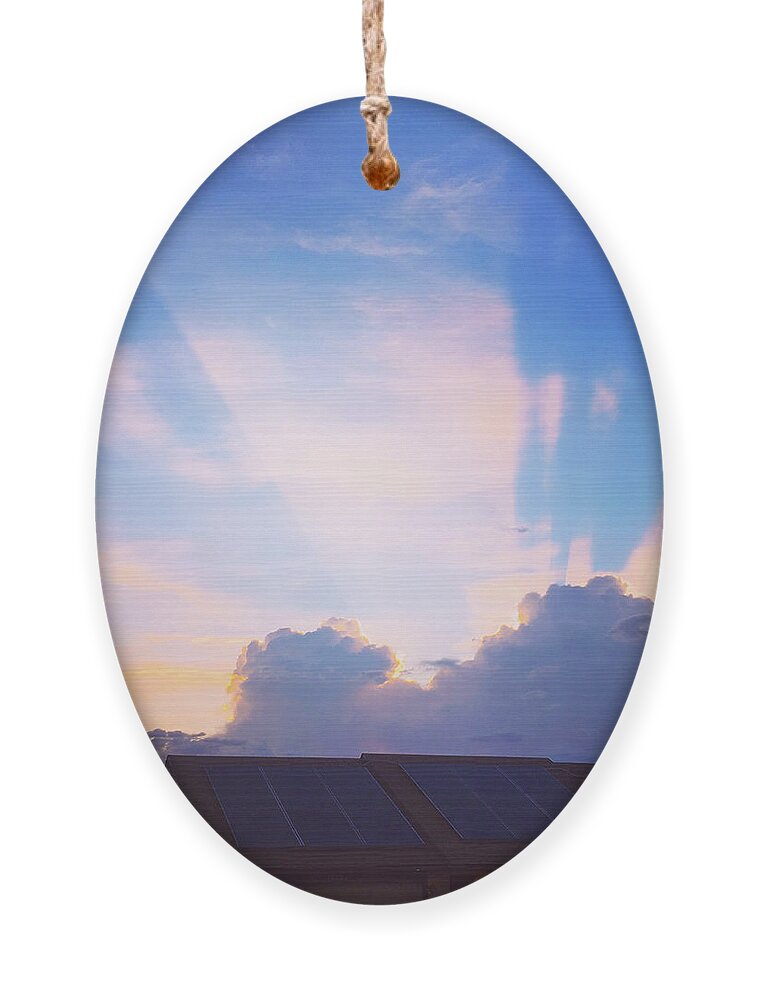Palm Tree Ornament featuring the photograph Sunbeam at sunset by Grey Coopre