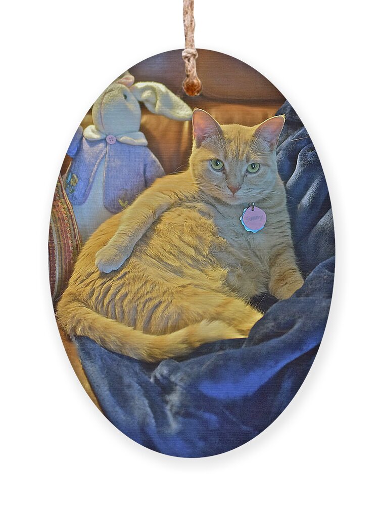 Tabby Cat Ornament featuring the photograph 2020 Interrupted by Janis Senungetuk