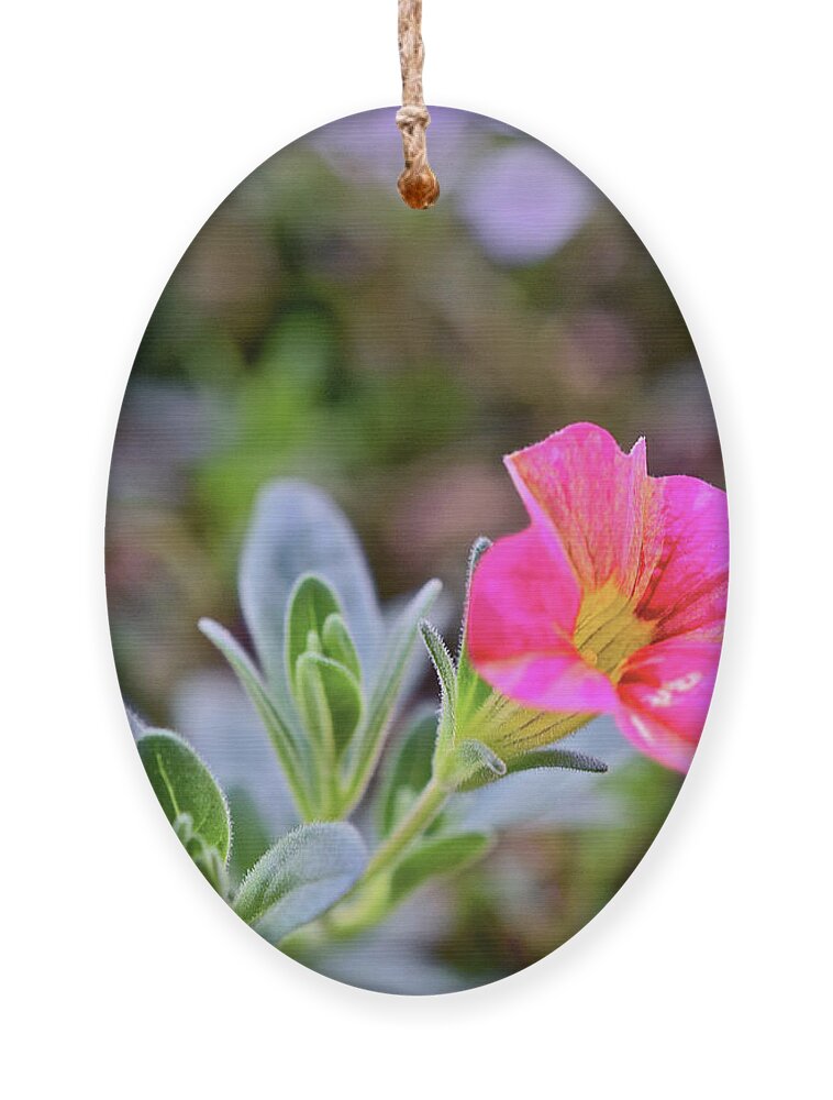 Flowers Ornament featuring the photograph 2021 Tropical Sunrise Breeze by Janis Senungetuk