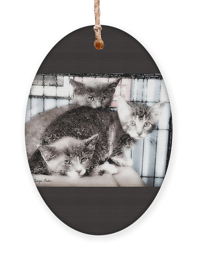 Kittens Ornament featuring the painting 3 Kittens by George Pedro