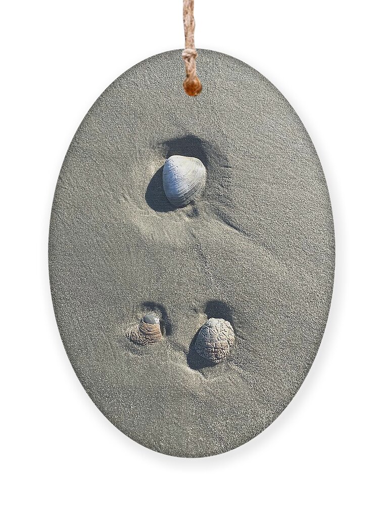 Seashells Ornament featuring the photograph 3 Seashells by Mary Kobet