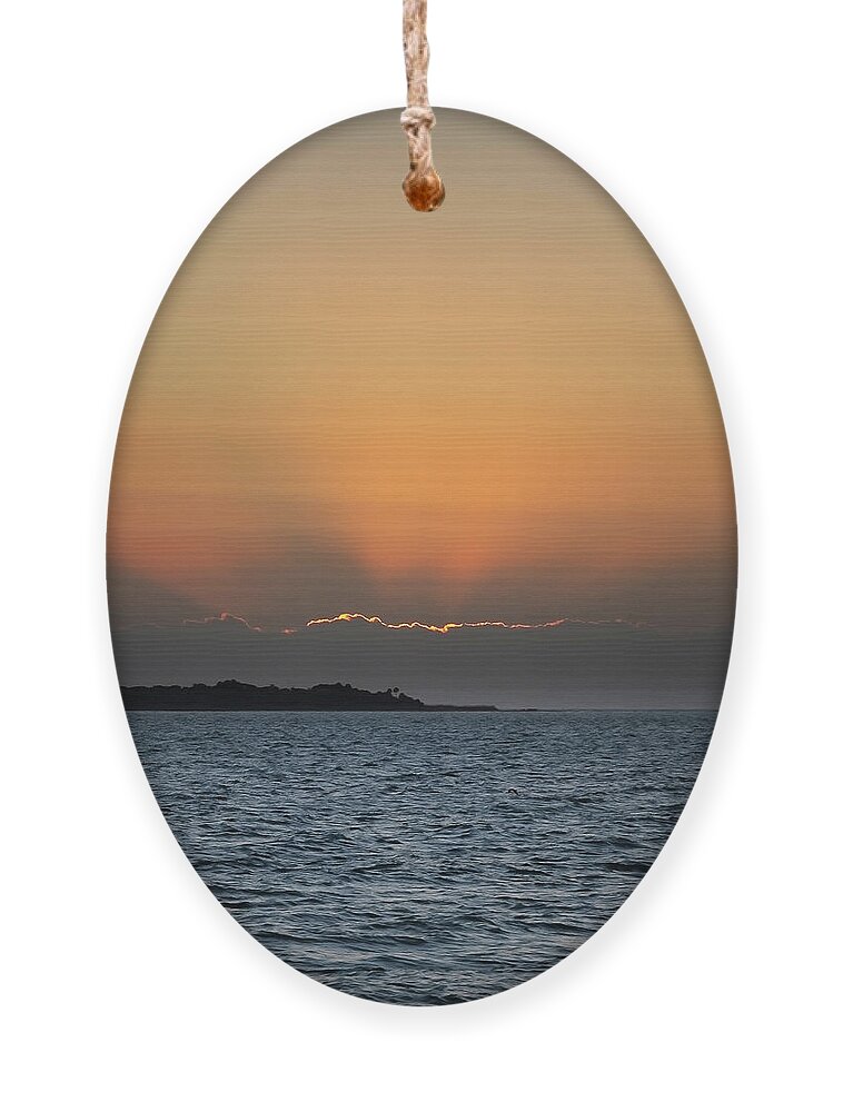  Ornament featuring the photograph Florida #4 by Lars Mikkelsen