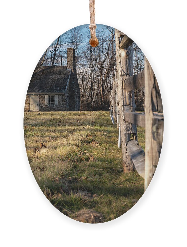 Kingston Ornament featuring the photograph On the Farm #4 by Kristopher Schoenleber