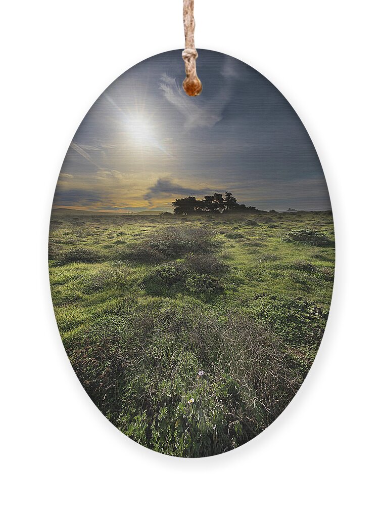 Ornament featuring the photograph San Simeon #4 by Lars Mikkelsen