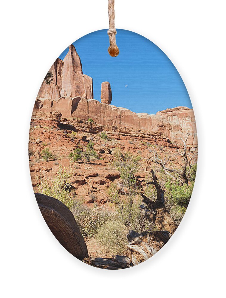 Arches National Park Ornament featuring the photograph Arches National Park #41 by Raul Rodriguez