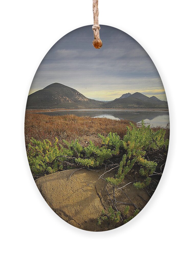  Ornament featuring the photograph Morro Bay Estuary #6 by Lars Mikkelsen