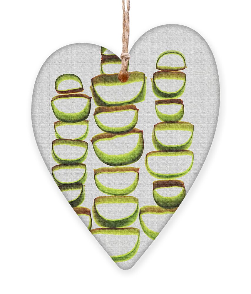 Aloe Vera Slices Abstract Ornament featuring the digital art Aloe Vera Slices Abstract #7 by Tom Janca