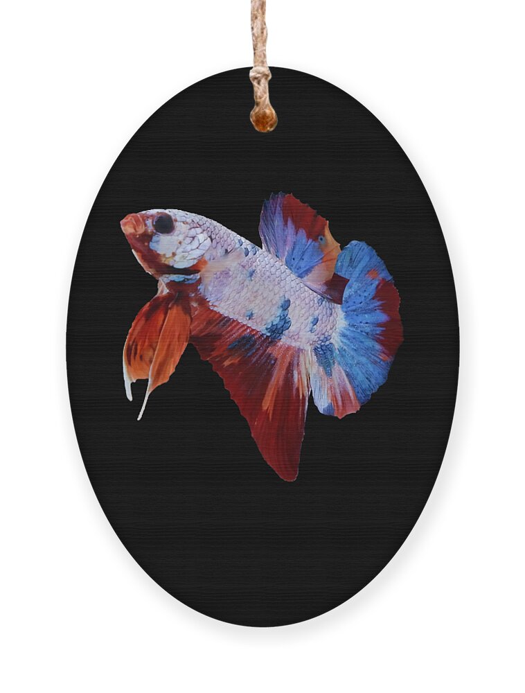 Betta Ornament featuring the photograph Multicolor Betta Fish by Sambel Pedes