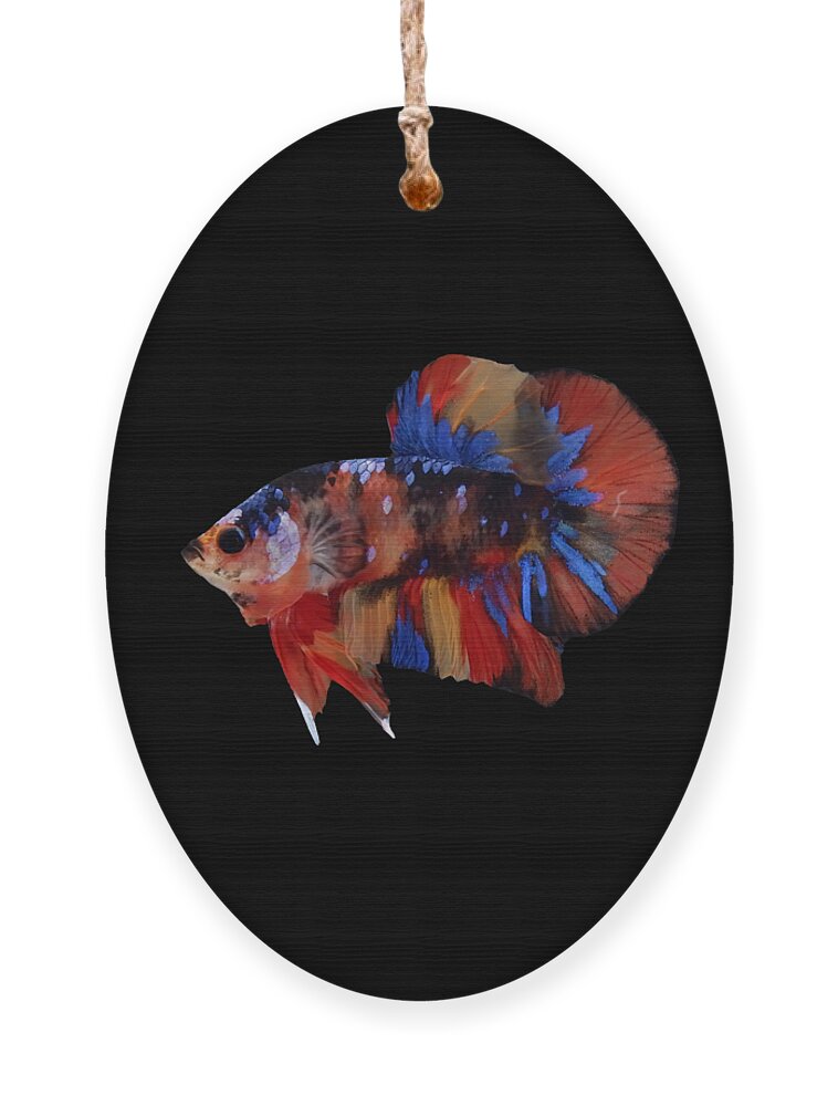 Betta Ornament featuring the photograph Multicolor Betta Fish by Sambel Pedes