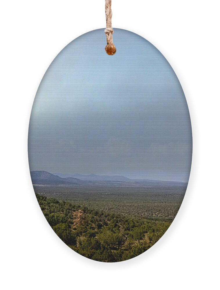 Desert Ornament featuring the photograph A Beautiful Vista by Laura Putman