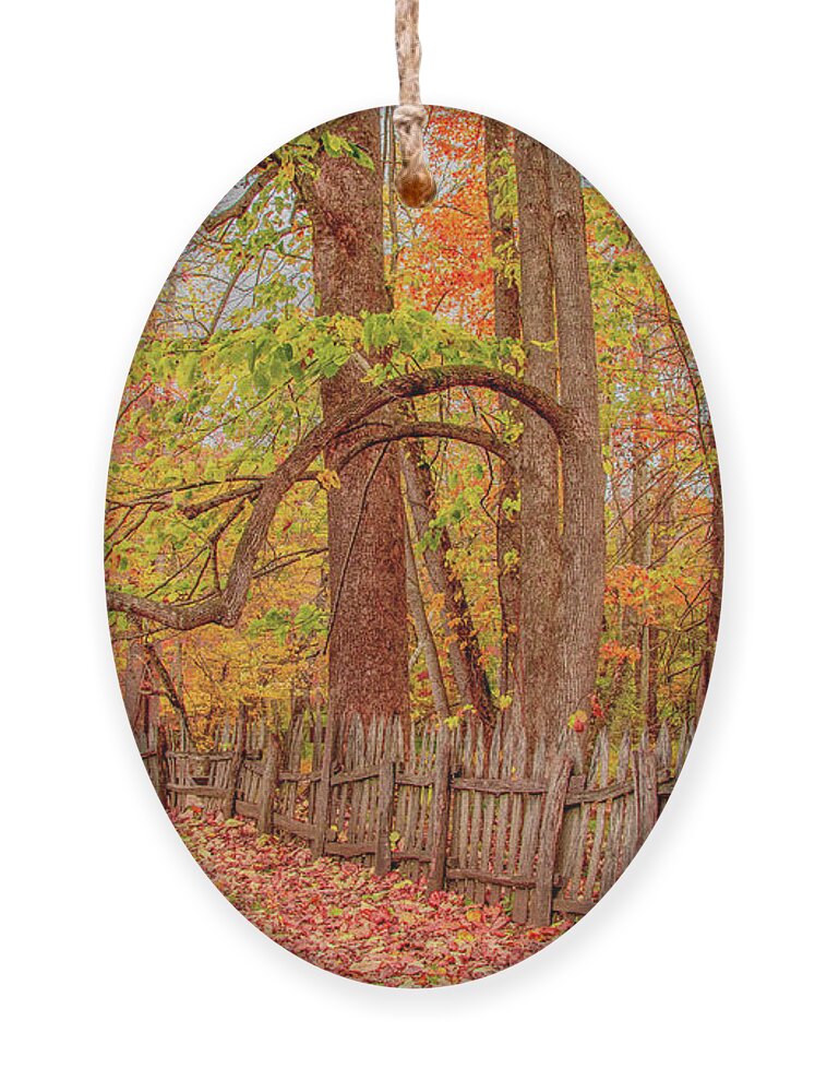Oconaluftee Ornament featuring the photograph A Crooked Old Fence in the Shadow of Fall by Marcy Wielfaert