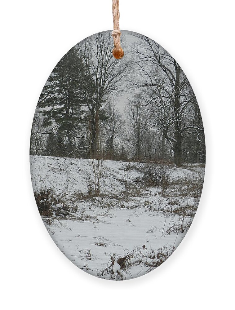 Monochromatic Ornament featuring the photograph A Field In January with Fallen Goldenrod by Lise Winne