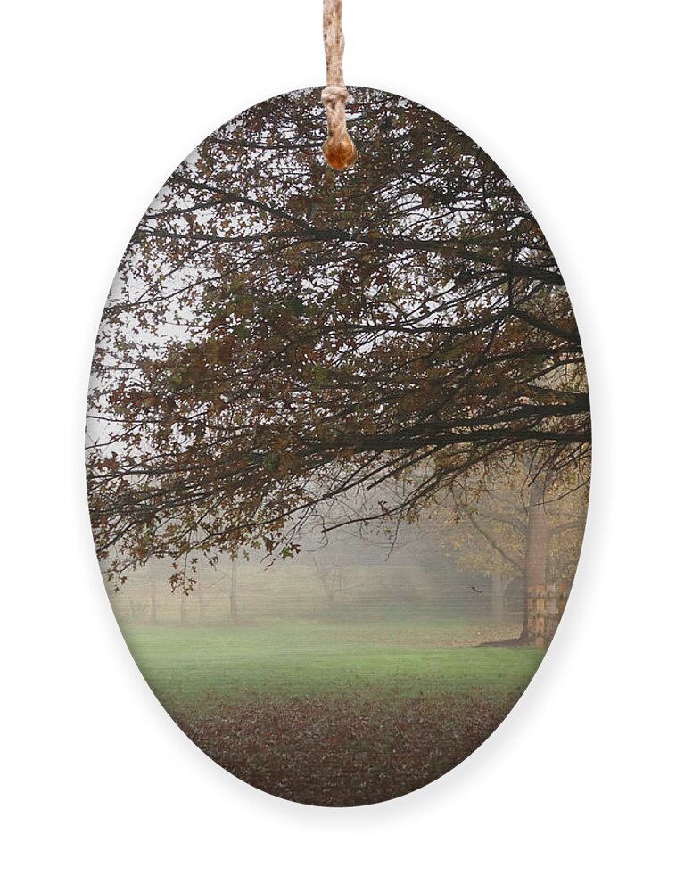 Nature Ornament featuring the photograph A Foggy Autumn Morning by Trina Ansel