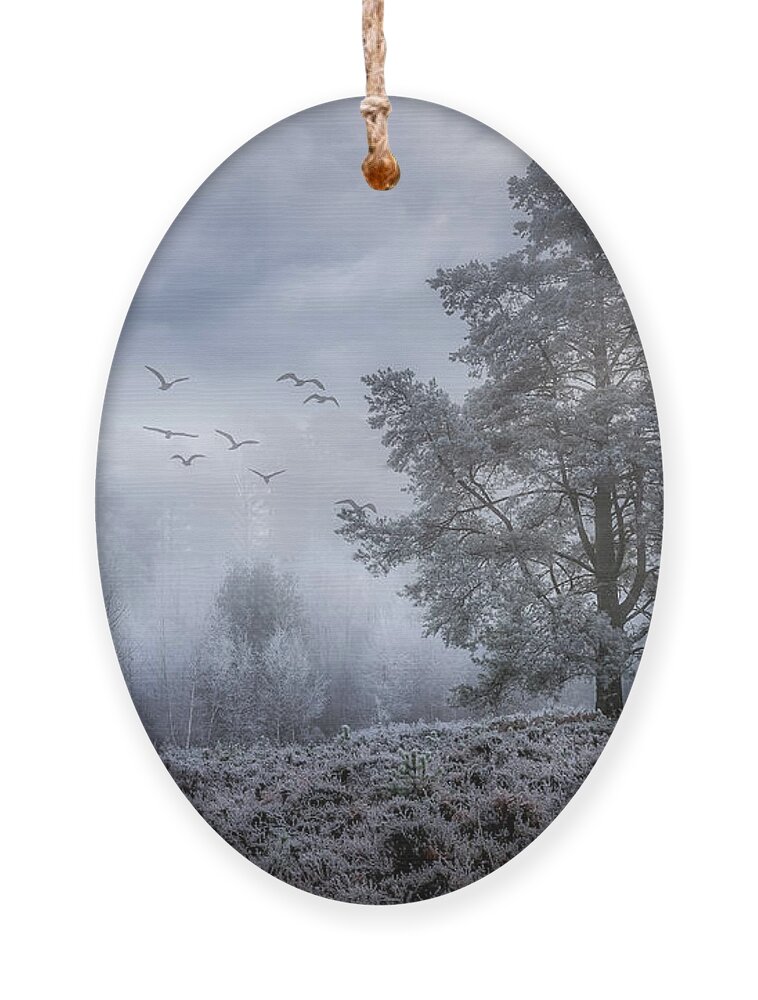 Fog Ornament featuring the photograph A-Foggy-Day by Chris Boulton
