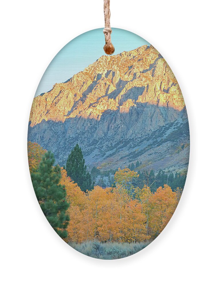 Fall Ornament featuring the photograph A New Day by Jonathan Nguyen