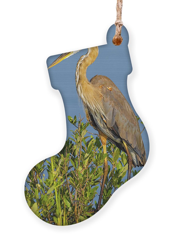 R5-2653 Ornament featuring the photograph A Proud Heron by Gordon Elwell