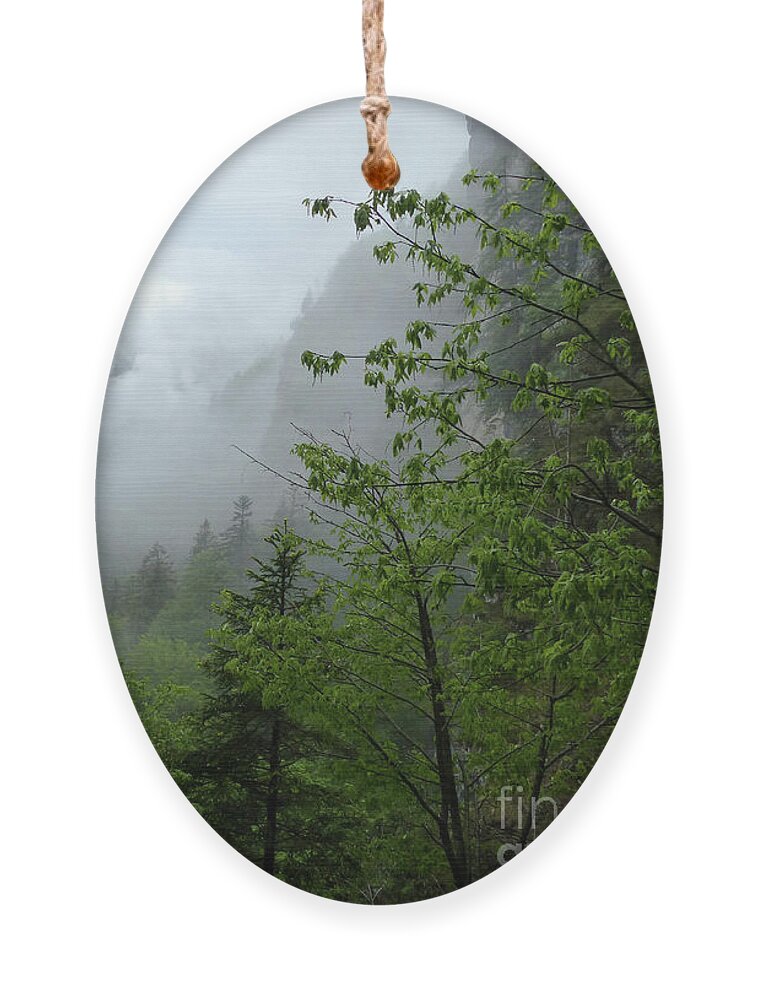Mist Ornament featuring the photograph A rainy day in the forest - Molveno - Italy by Phil Banks