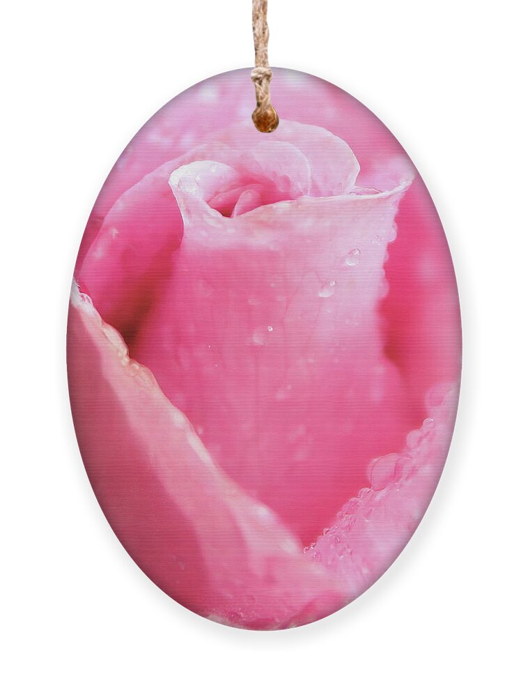 Rose Ornament featuring the photograph A Rose Is A Rose by Lens Art Photography By Larry Trager