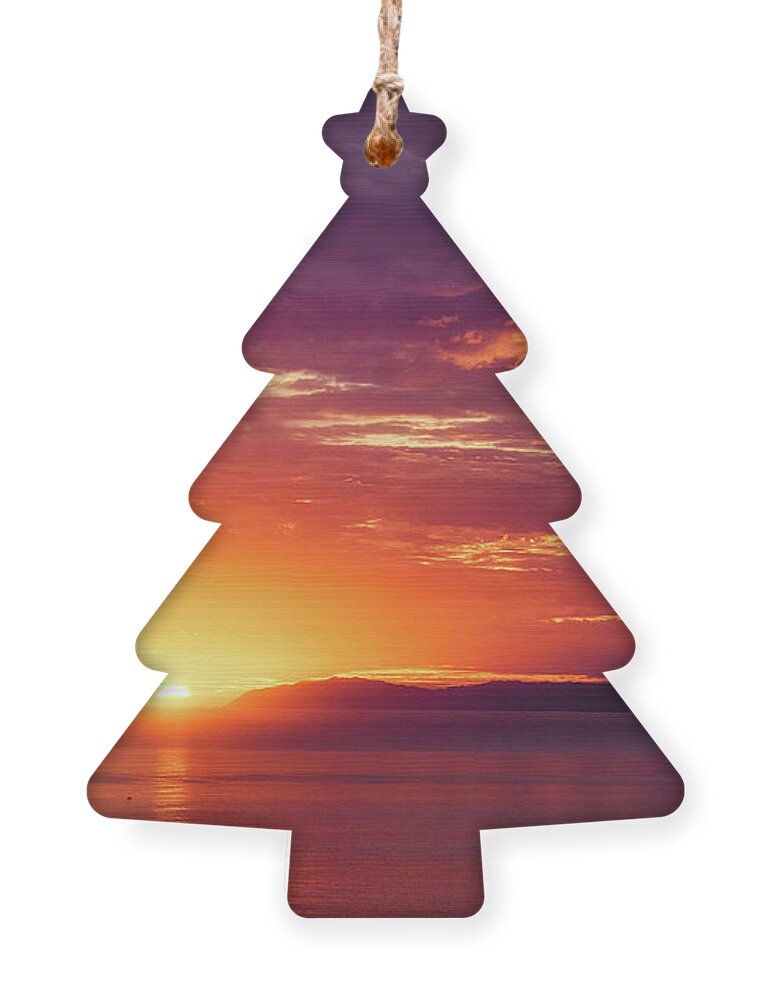 Sunset Ornament featuring the photograph A splash of color over Catalina Island by Abigail Diane Photography