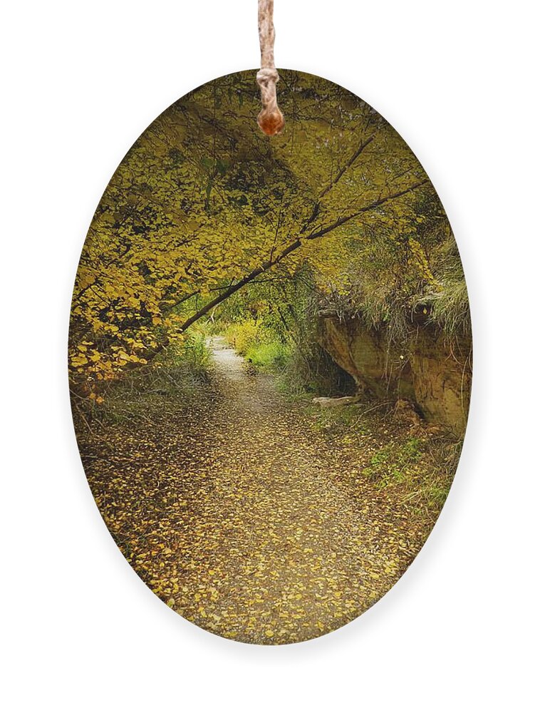 Autumnal Ornament featuring the photograph A True Autumn Day by Laura Putman
