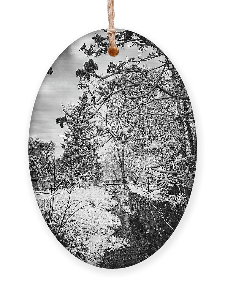 Snow Ornament featuring the photograph A Winter Scene by Jim Feldman