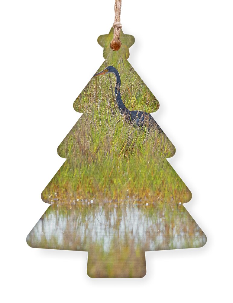 R5-2669 Ornament featuring the photograph A Youngster out in the Grasslands by Gordon Elwell