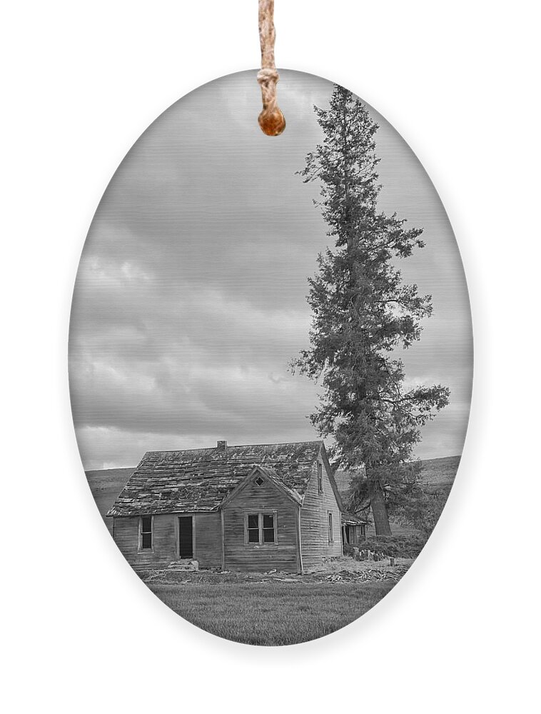 Abandoned Ornament featuring the photograph Abandoned Farmhouse - Lincoln County #3 by Jerry Abbott