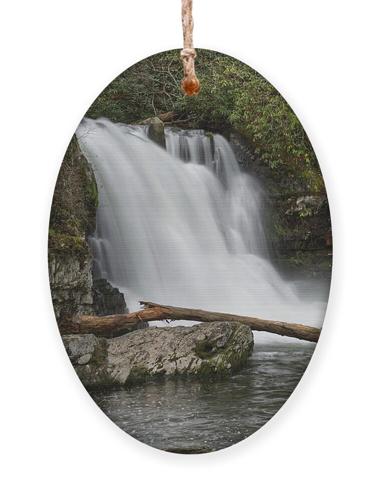 Abrams Falls Ornament featuring the photograph Abrams Falls 13 by Phil Perkins