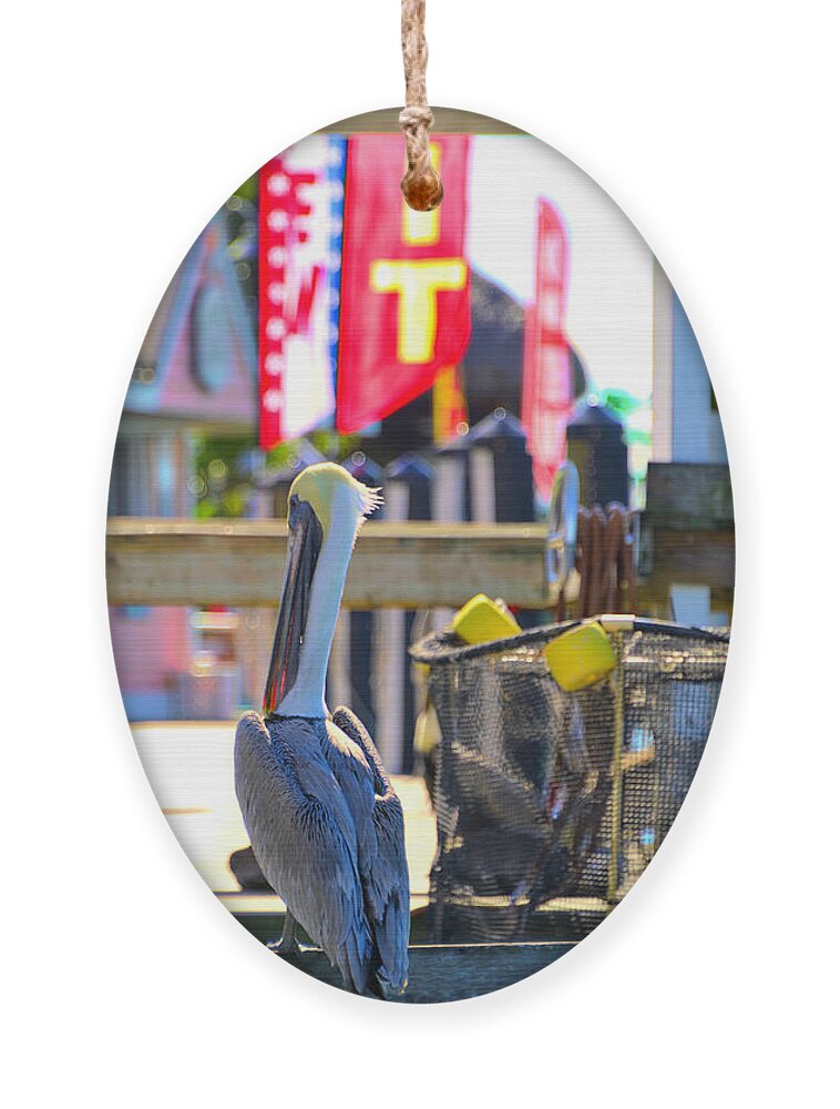 Pelican Ornament featuring the photograph Absolutely by Alison Belsan Horton