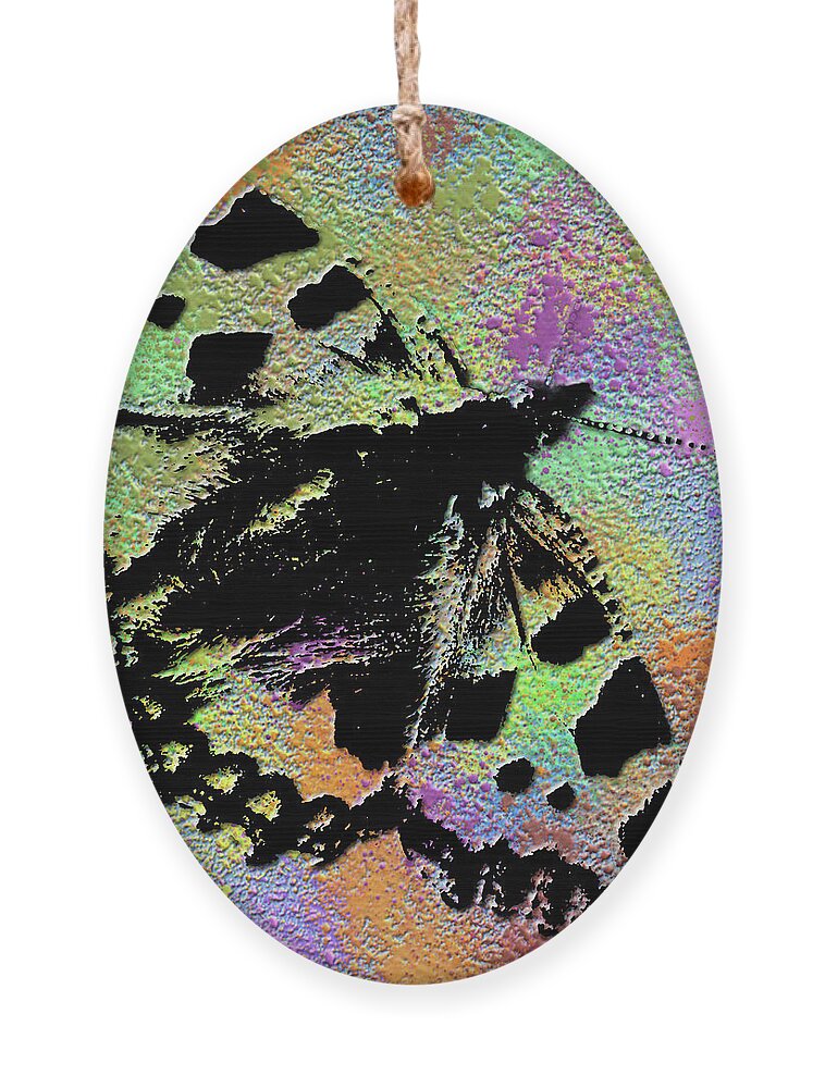 Abstract Butterfly Ornament featuring the photograph Abstract butterfly by Pics By Tony