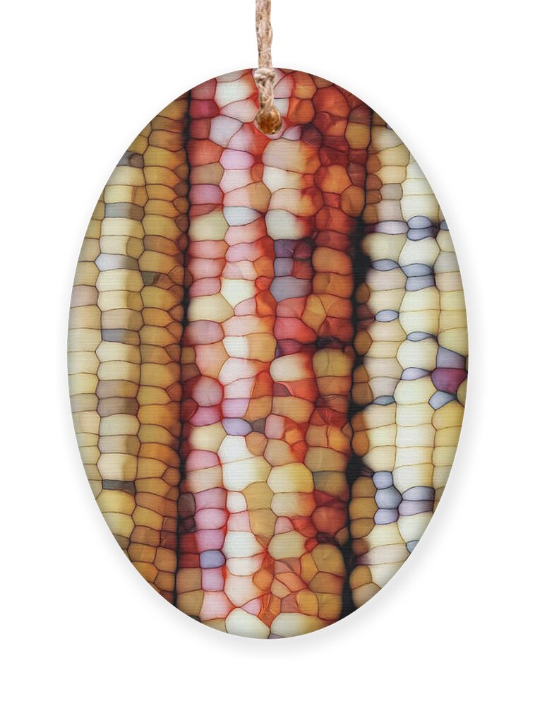 Indian Corn Ornament featuring the digital art Abstract Indian Corn by Phil Perkins