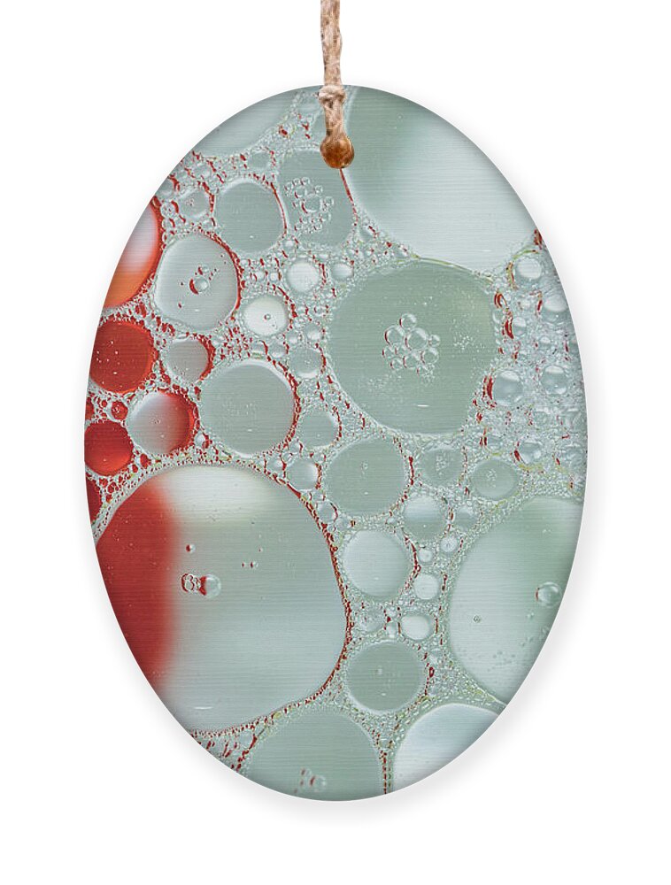 Abstract Photography Ornament featuring the photograph Abstract Photography - Red and Green by Amelia Pearn
