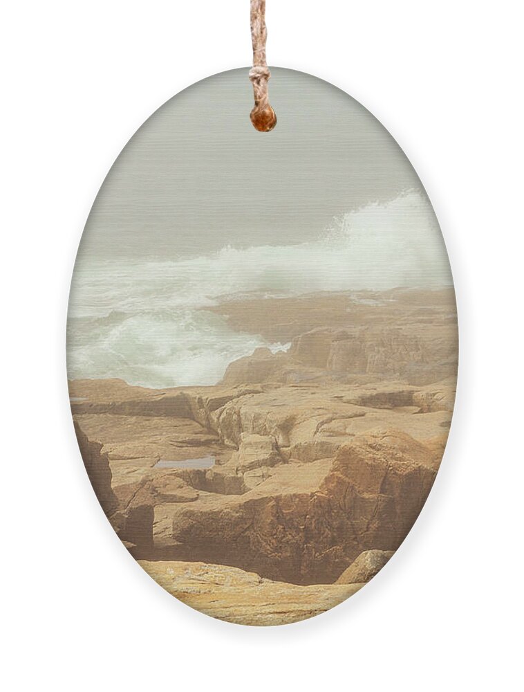 Acadia Ornament featuring the photograph Acadia National Park Fog by Amelia Pearn