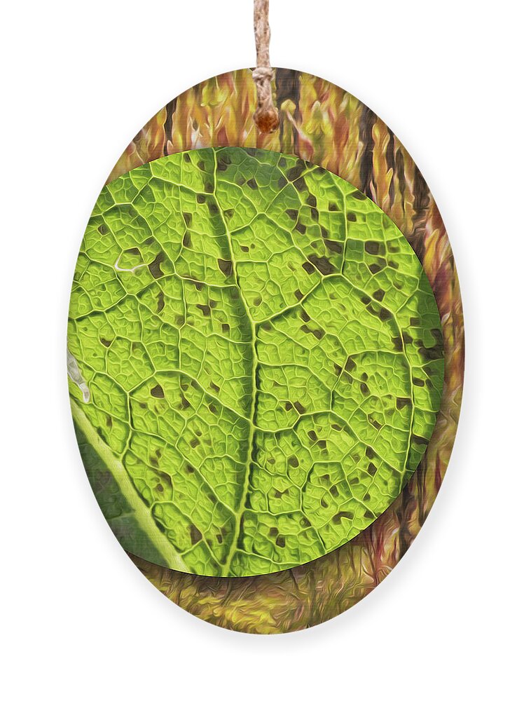 Imaginary Lands Ornament featuring the digital art Adrift In The Velvet Leaf Forest by Becky Titus