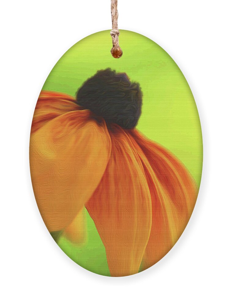 Daisy Ornament featuring the photograph African Daisy by Kathy Paynter