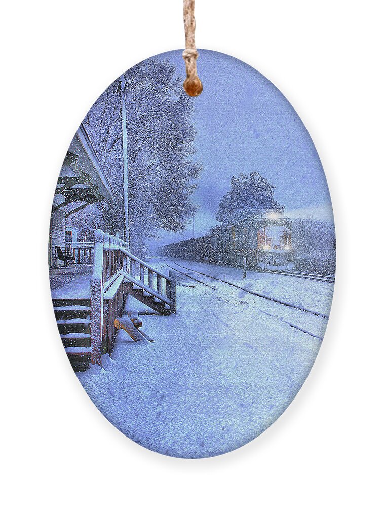 Snow Alabama Ornament featuring the photograph Alabama Snow by Rick Lipscomb