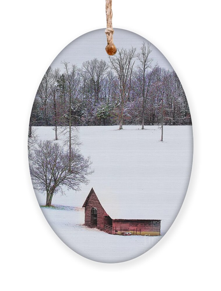 Snow Ornament featuring the photograph All is calm... by Rick Lipscomb