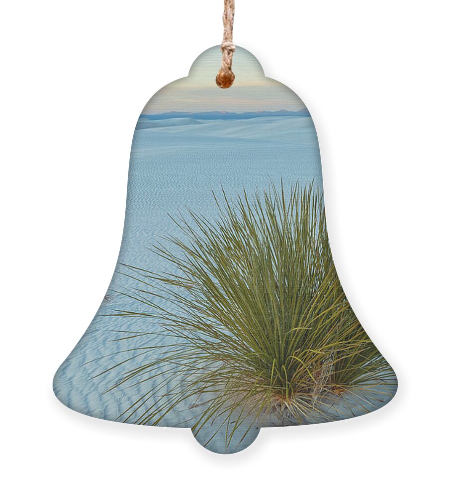 Sand Dunes Ornament featuring the photograph Alone In Desert by Jonathan Nguyen