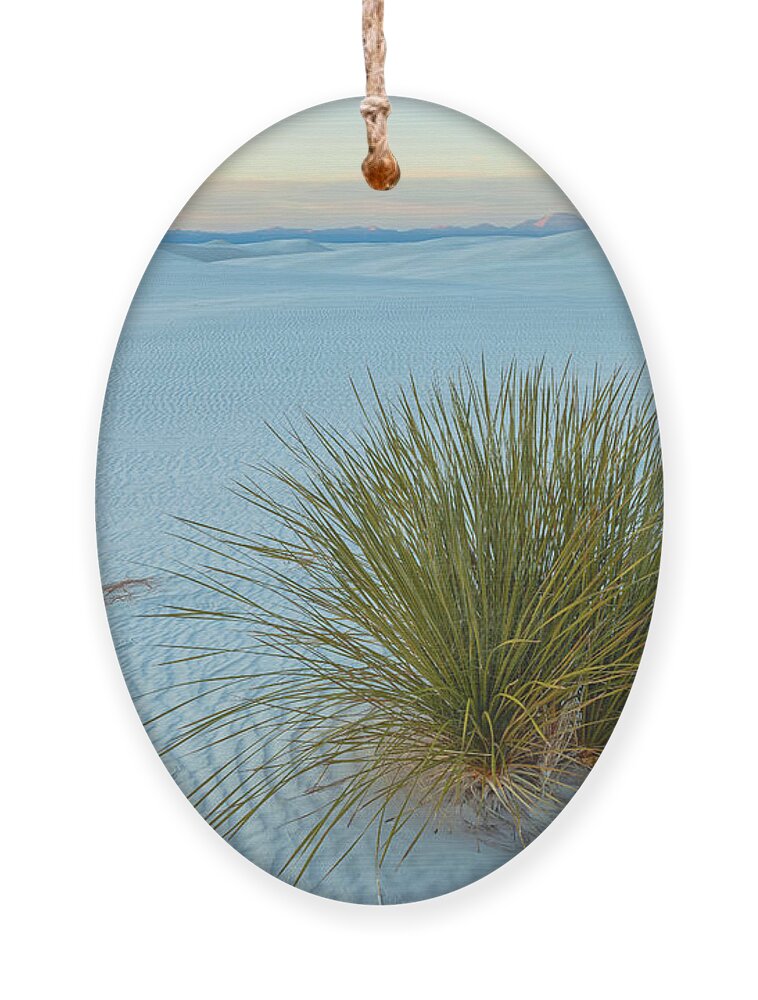 Sand Dunes Ornament featuring the photograph Alone In Desert by Jonathan Nguyen