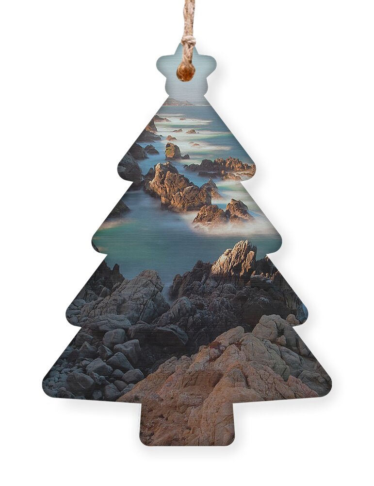 Landscape Ornament featuring the photograph Along The Coastline by Jonathan Nguyen