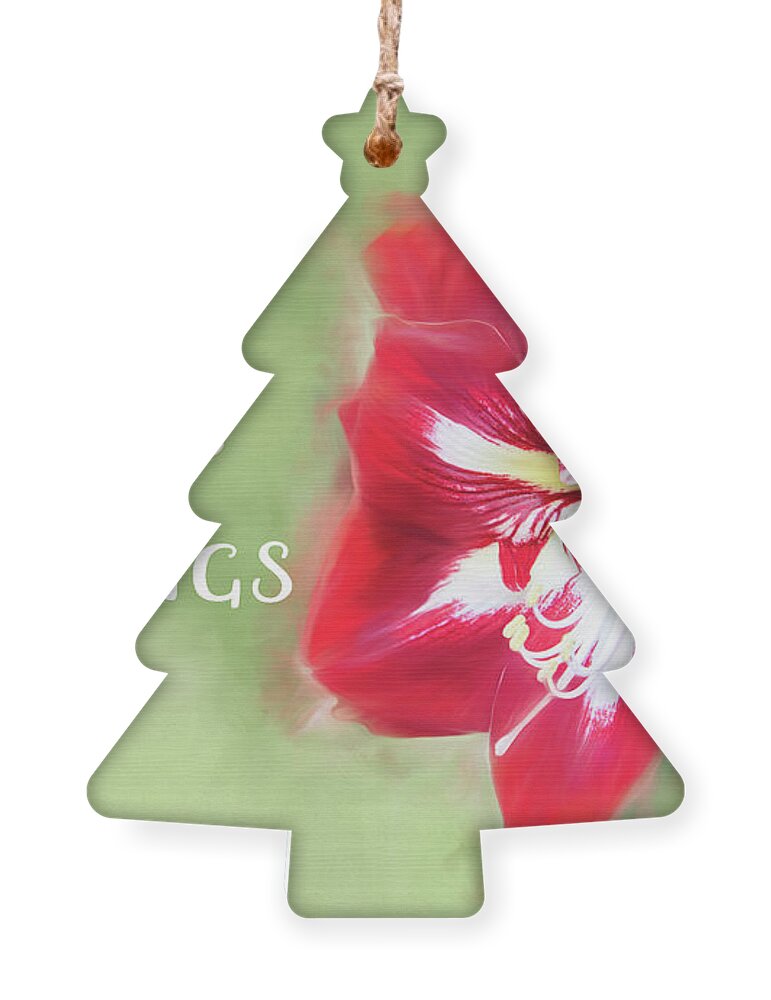 Christmas Ornament featuring the photograph Amaryllis Holiday Greetings by Marilyn Cornwell