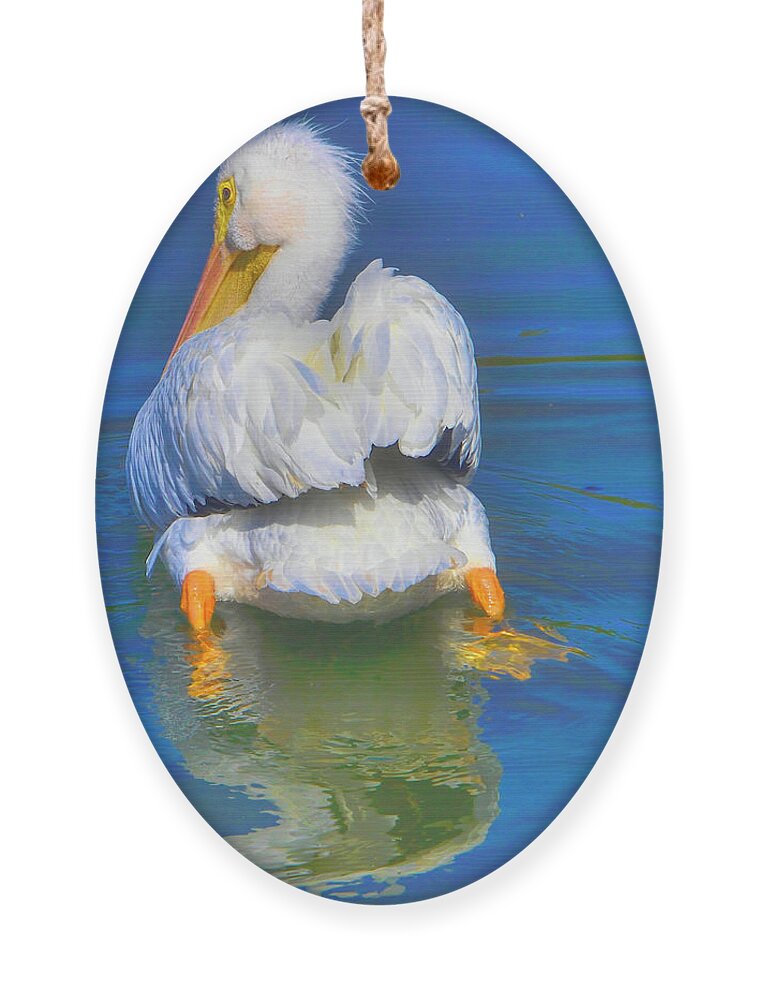 Pelican Ornament featuring the photograph American White Pelican by Alison Belsan Horton