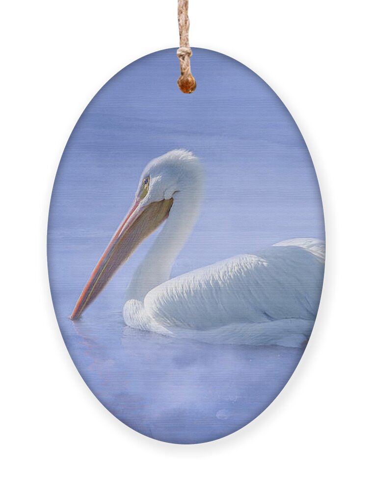 American White Pelican Ornament featuring the photograph American White Pelican Daydreaming by Debra Martz