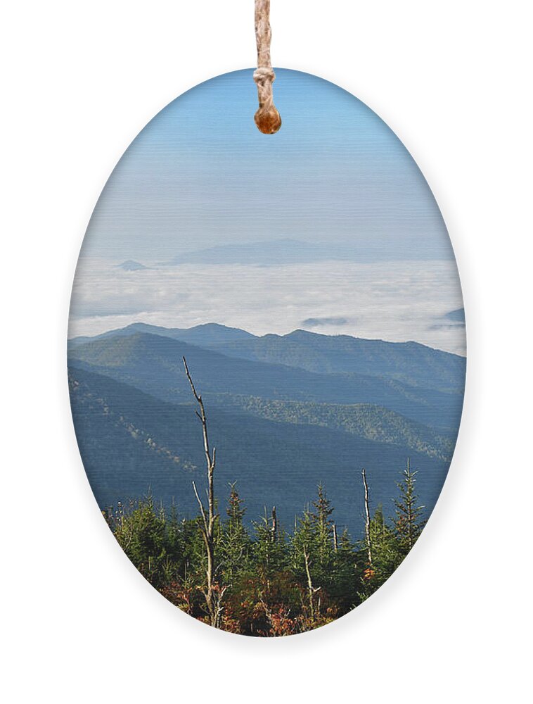 Andrews Bald Ornament featuring the photograph Andrews Bald 10 by Phil Perkins